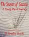 The Secrets of Success; A Young Man's Journey (Power Principles)
