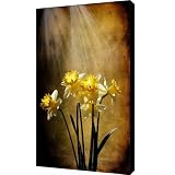 Spring Sun Canvas Print / Canvas Art - Artist Lois Bryan