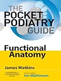 Functional anatomy