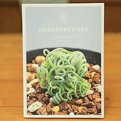 UNDERGROUNDS -CAPE BULB BOOK-