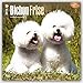 Bichon Frise 2016 Square 12x12 (Multilingual Edition)