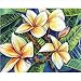 12 x 15 Plumeria Design Cutting Board