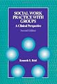 Social Work Practice with Groups: A Clinical Perspective