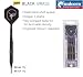 Unicorn Dartpfeilsatz Core Black Brass 19g, Softdart,