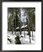 A Summer Holiday Cottage During the Spring Thaw, Kuihmo Province, Finland, Scandinavia Framed Art Poster Print by Jean-luc Brouard, 18x22