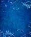 Westcott 807 5-Inch x 6-Inch Daydream Scenic Background