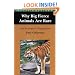 Why Big Fierce Animals Are Rare: An Ecologist's Perspective