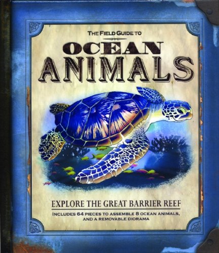 Ocean Animals
