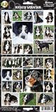 Pet Qwerks S5 Bernese Mountain Dog Sticker