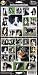 Pet Qwerks S5 Bernese Mountain Dog Sticker
