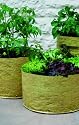 VEGETABLE PATIO PLANTER SOFT GREEN (PACK OF 3)