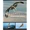 The best raptor books