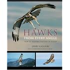 Hawks from Every Angle: How to Identify Raptors In Flight by  Jerry Liguori and David Sibley