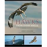 Hawks from Every Angle: How to Identify Raptors In Flightby Jerry Liguori