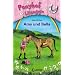 Ponyhof Liliengr�n 11. Amy und Bella