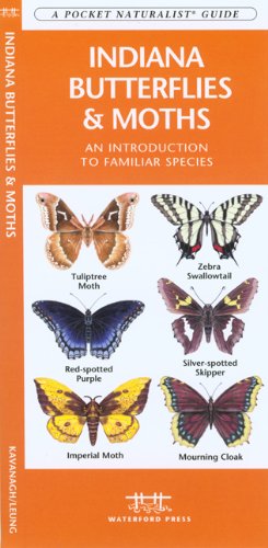 Indiana Butterflies & Moths: An Introduction to Familiar Species (State Nature Guides)