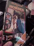 Hollywood on Horses
