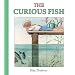 The Curious Fish