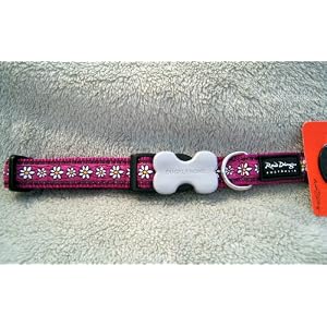 Red Dingo Designer Dog Collar, Medium