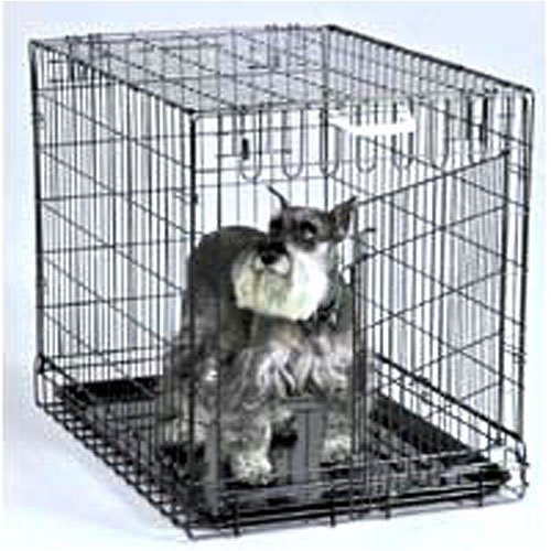 Fold Down Dog Crate – Black/Large