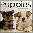2012 Puppies Wall Calendar