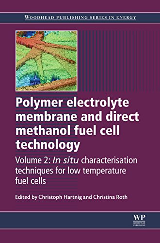 Polymer Electrolyte Membrane and Direct Methanol Fuel Cell Technology: Volume 2: In Situ Characterization Techniques for Low Temperature Fuel Cells (Woodhead Publishing Series in Energy)