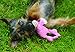 HuggleHounds Knottie Plush Dog Toy - Dog Stuffed Animal Toy, Squeaky Puppy Toys, for Small, Medium & Large Dogs, Durable Plush to Keep Them Busy - Bitsy Bunny, Small