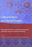 Cultural Sites Of Critical Insight : Philosophy,  Aesthetics, And African American And Native American  Women's Writings