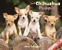 Just Chihuahua Puppies Calendar (Just (Willow Creek))