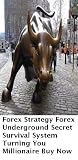 Forex Strategy Forex Underground Secret Survival System Turning You Millionaire - Buy Now