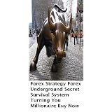 Forex Strategy Forex Underground Secret Survival System Turning You Millionaire - Buy Now