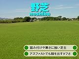 株式会社ハヤシ 芝生 野芝 (日本芝) 1平米