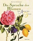 Book cover: Die Sprache der Blumen: Von Akelei bis Zitrus