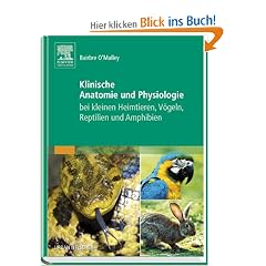 Klinische Anatomie und Physiologie bei kleinen Heimtieren, V�geln, Reptilien und Amphibien