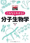 史上最強図解これならわかる!分子生物学