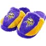 Minnesota Vikings 2009 Ball Men's Slide Slippers