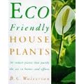 Eco-friendly Houseplants: 50 Indoor Plants That Purify the Air