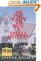 So You Want to Buy a Small Hotel!: A Guide