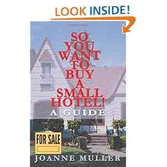 So You Want to Buy a Small Hotel!: A Guide