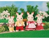 Chocolate Rabbit Family