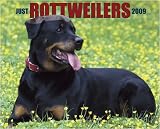 Just Rottweilers 2009 Calendar From Willow Creek