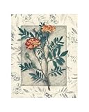 Calendula Art Print Poster By Julie Nightingale, 8  x 10 