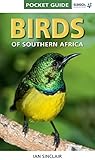 Birds of Southern Africa : pocket guide