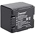 Insten Camcorder Battery Compatible with PANASONIC CGR-DU06 CGR-DU07 DU14