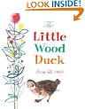 The Little Wood Duck