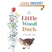 The Little Wood Duck