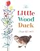 The Little Wood Duck