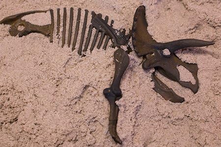 WABA Fun Triceratops Kinetic Sand Dino Digs