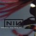 Nine Inch Nails - Things Falling Apart