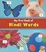My First Book of Hindi Words (A+ Books: Bilingual Picture Dictionaries)